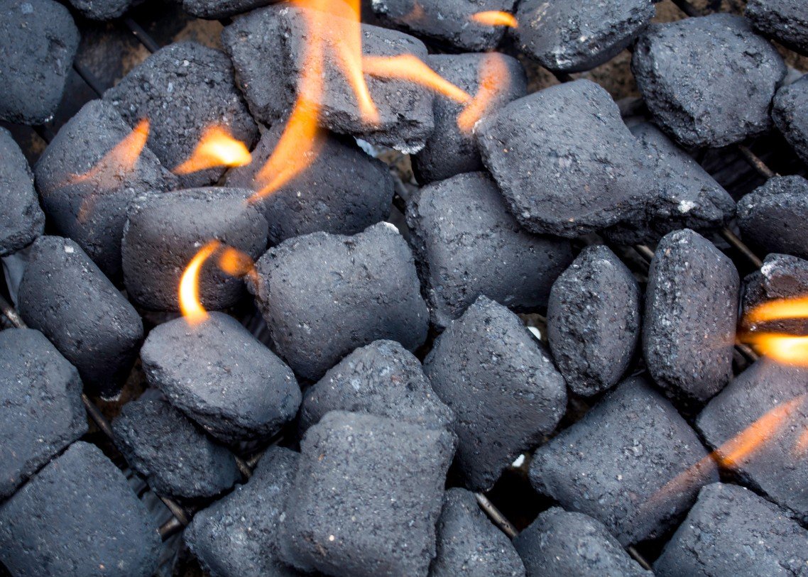 PT. Bhumi Sumber Artha - briquette 1