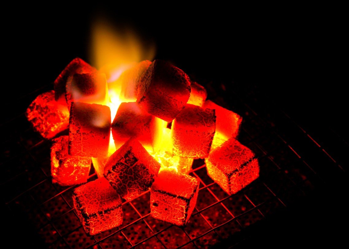 PT. Bhumi Sumber Artha - briquette 6