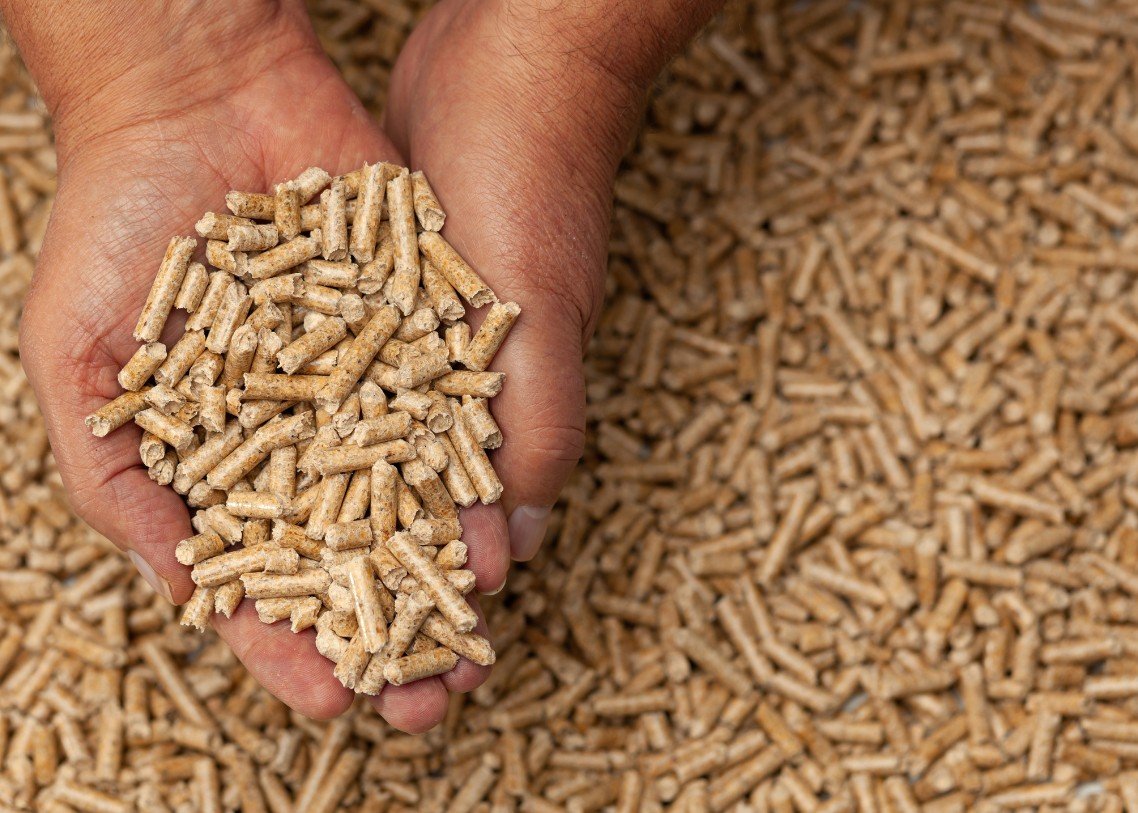 PT. Bhumi Sumber Artha - wood pellet 3