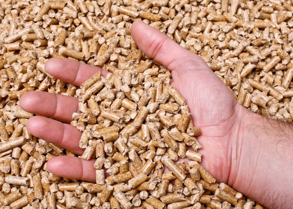 PT. Bhumi Sumber Artha - wood pellet 4